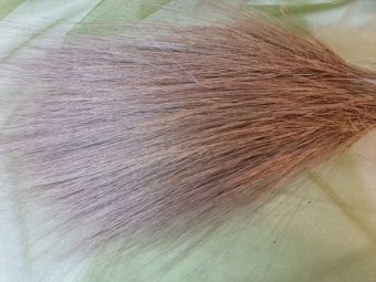 BARBA DI BODE NATUR