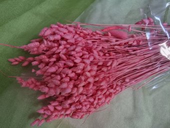 BRIZA MAX  CCA 100GR ROZ