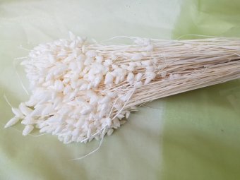 BRIZA MAX ALBITA CCA 100GR