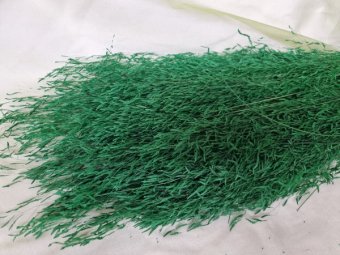 BRIZA SEGRROMIGNO CCA 100GR VERDE 