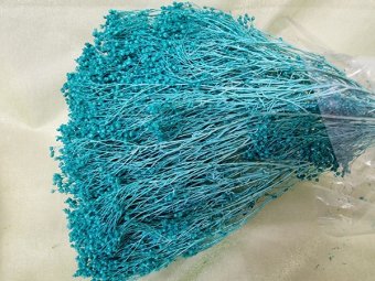 BROOM BLOOM  CCA 80-100GR VERDE ACQUA (CA)                                          