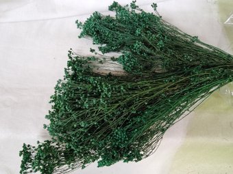 BROOM BLOOM CCA 80-100GR VERDE (21) SMARALD                                         