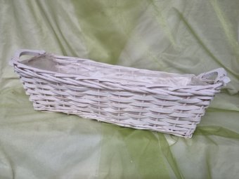 COS ALB 50X20 H14