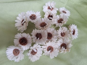 FLORI DE MING CCA 6-8 CM 