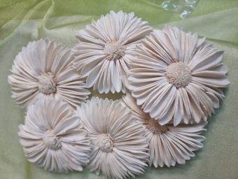 FLORI DE MING MARGARETA 6BUC 8CM