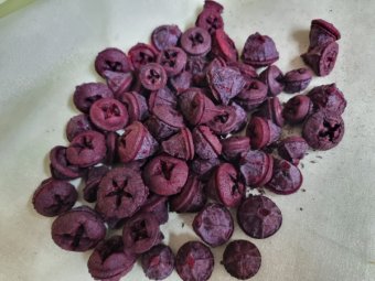 FRUCTE EUCALIPT BORDO