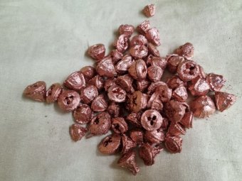 FRUCTE EUCALIPT CUPRU