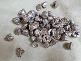 FRUCTE EUCALIPT SAMPANIE