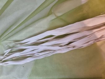 FRUNZE DE PALMIER ALB 100 CM