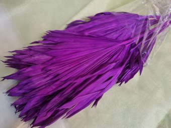 FRUNZE DE PALMIER FUXIA 10 BUC