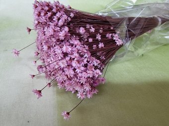GLIXIA TEMPORONA  50GR  FILDER                             