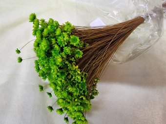 GLIXIA   VERDE DESCHIS                        