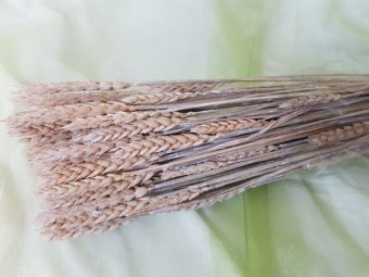 GRAU TRIRICUM CCA 150 GR NATUR VINTAGE