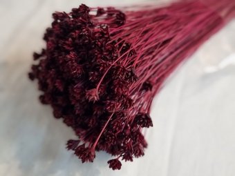 HILL FLOWER 80-100GR BORDO