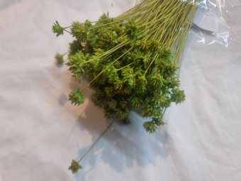 HILL FLOWER 80-100GR VERDE DESCHIS