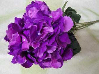 HORTENSIA 5 FLORI VIOLET