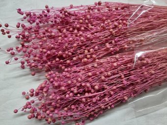 IN 100 GR FILDER(LILA)