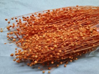 IN 100 GR PIERSICA