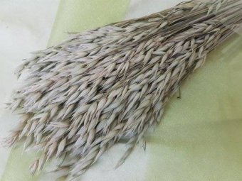 ORZ CCA 150GR NATUR