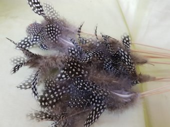 PENE PE BAT H50CM PREPELITA 10 BUC