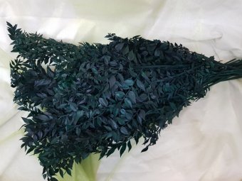 RUSCUS VERDE CCA 1 KG