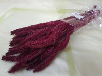 SETARIA 150GR BORDO