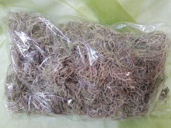 TILLANDSIA CCA 150GR NATUR
