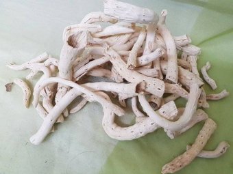 TOPY CCA 100 GR ALB