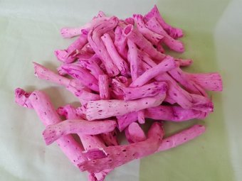 TOPY CCA 25 BUC ROZ