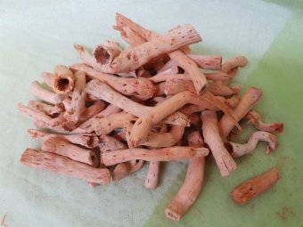 TOPY CCA 25 BUC PIERSICA