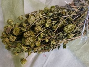 TRIFOI VERDE 120GR