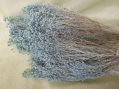 BROOM BLOOM  CCA 80-100GR ALBASTRU DESCHIS (29)                                          