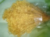 BROOM BLOOM  CCA 80-100GR GALBEN(4)                                        