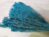 BROOM BLOOM  CCA 80-100GR TURQUOISE (28)                                          