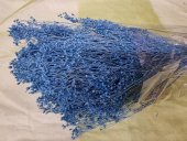 BROOM BLOOM CCA 80-100GR AZURO 