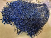 BROOM BLOOM CCA 80-100GR BLEUMARIN 