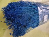 BROOM BLOOM CCA 80-100GR AZURO 
