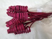 CANE CONE 6CM BORDO