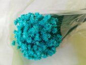 GLIXIA TEMPORONA  CCA 50GR  TURQUOISE                         
