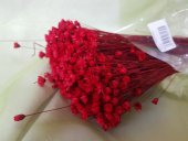 GLIXIA TEMPORONA 50 GR ROSU