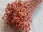 HILL FLOWER 80-100GR ROZ