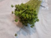 HILL FLOWER 80-100GR VERDE DESCHIS