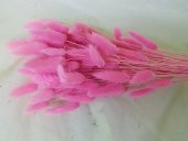 LAGURUS CCA 100 GR ROZ 