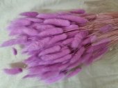 LAGURUS CCA 100GR FILDER