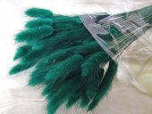 LAGURUS CCA 50GR VERDE SMARALD