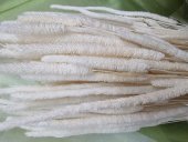 PHLEUM CCA 100GR ALBIT