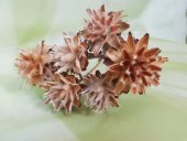 PLUMOSUM 6BUC CU COADA