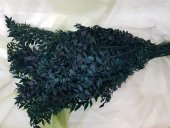 RUSCUS VERDE CCA 1 KG
