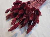 TALARIS 80-100 GR BORDO