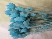 TALARIS 80-100 GR TIFFANY (26)